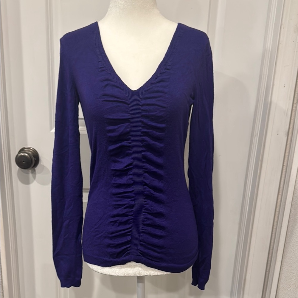 Express Blue Ruched Long Sleeve Blouse